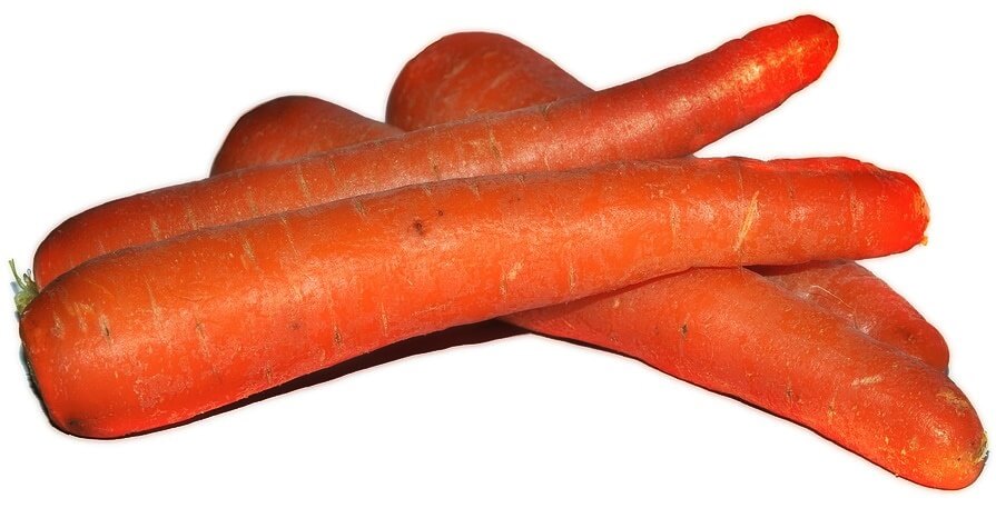 zanahorias, ingrediente de cocina
